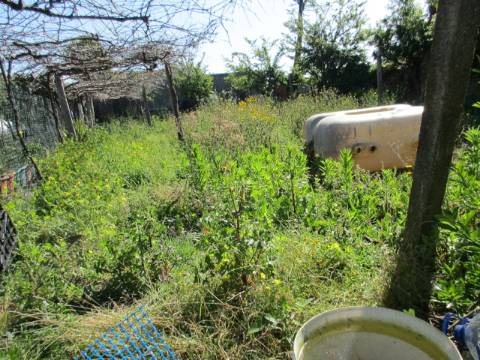 Terreno para Moradia na Palmilheira