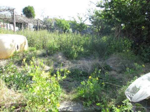 Terreno para Moradia na Palmilheira