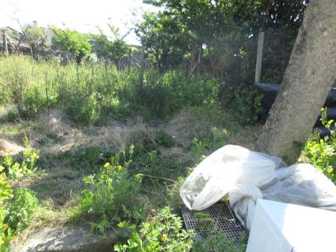 Terreno para Moradia na Palmilheira