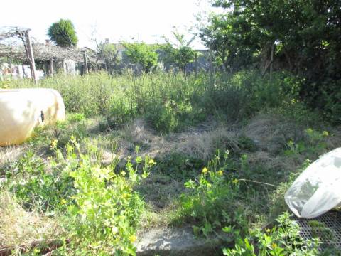 Terreno para Moradia na Palmilheira