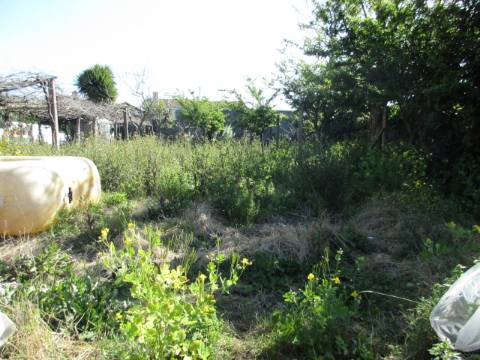 Terreno para Moradia na Palmilheira