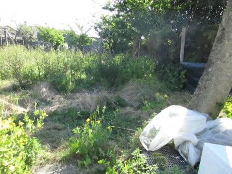 Terreno para Moradia na Palmilheira