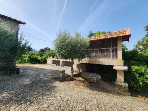 Quinta Vinícola em Atei, Mondim de Basto