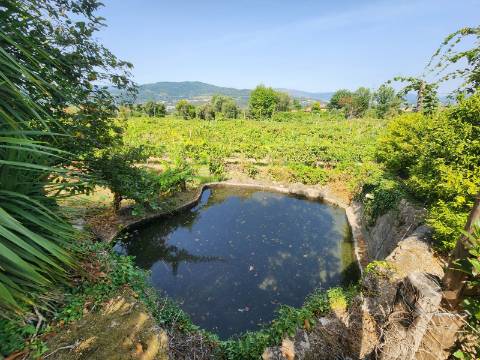 Quinta Vinícola em Atei, Mondim de Basto