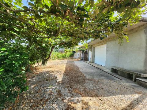 Quinta Vinícola em Atei, Mondim de Basto