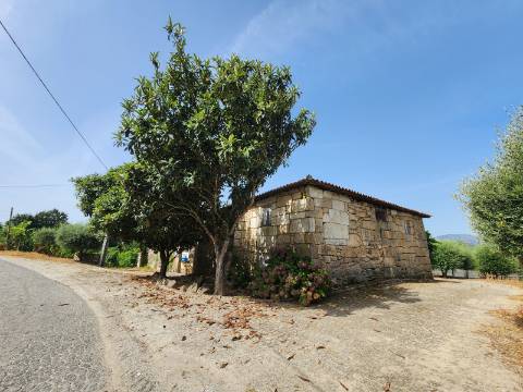 Quinta Vinícola em Atei, Mondim de Basto