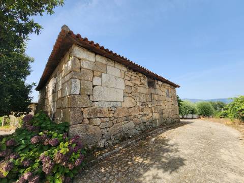 Quinta Vinícola em Atei, Mondim de Basto