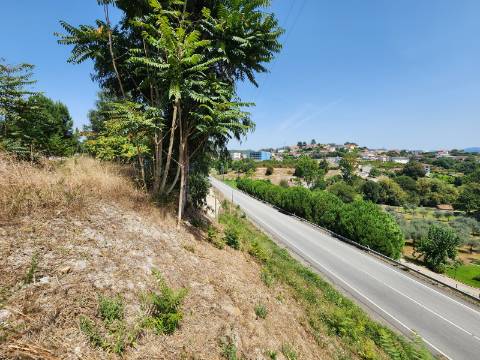 Terreno para construção em Amarante
