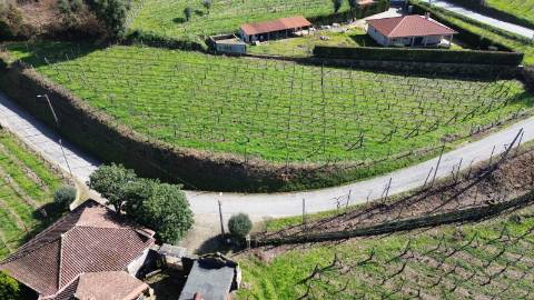 Terreno com potencial de construção em Atei