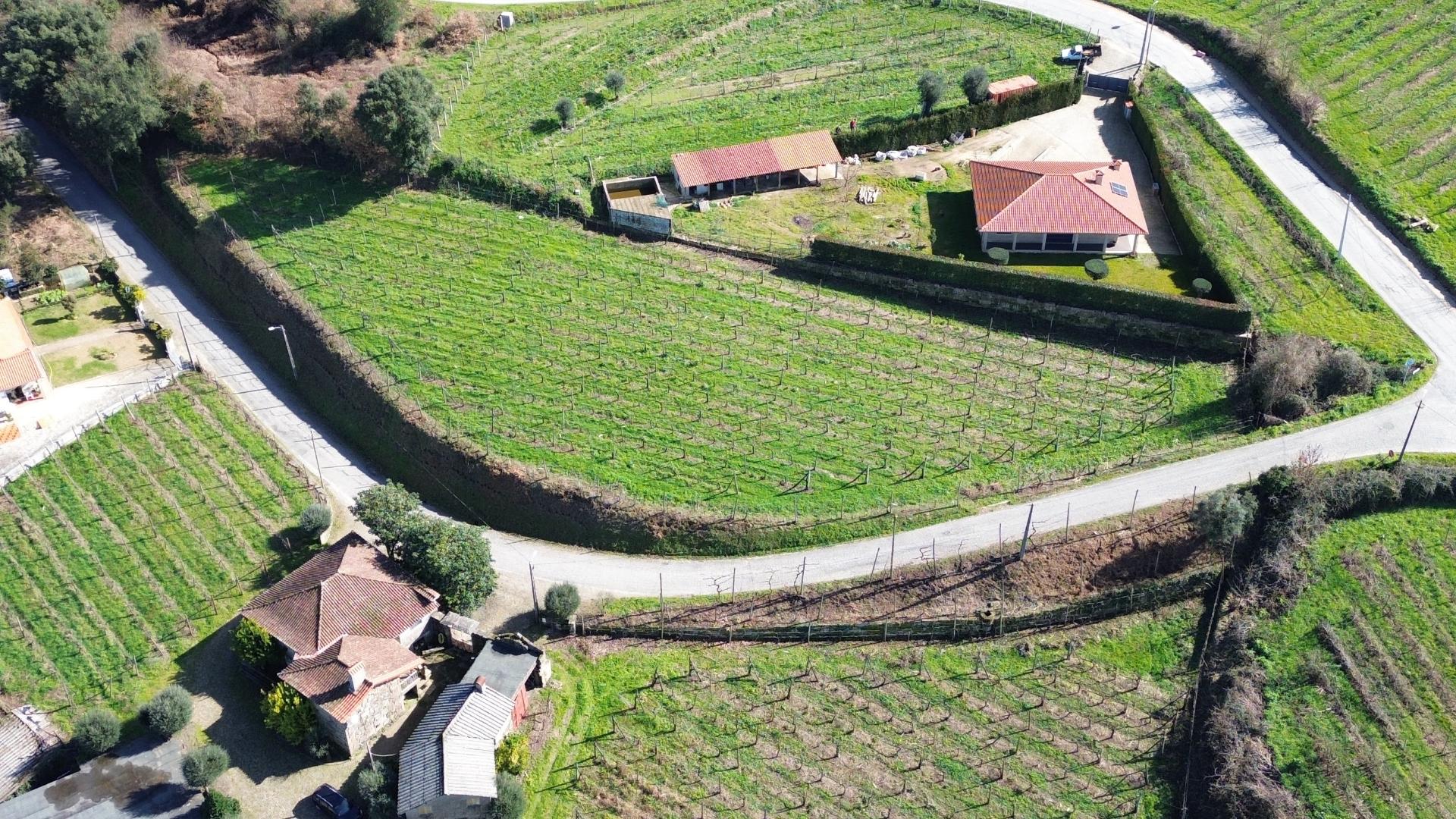 Terreno com potencial de construção em Atei
