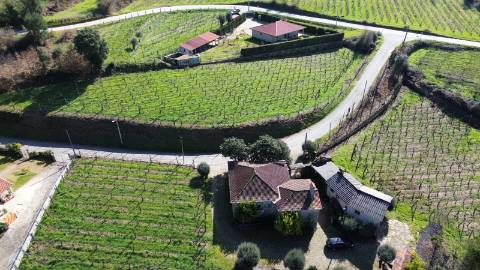 Terreno com potencial de construção em Atei