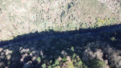 Terreno vinícola junto ao rio Tâmega