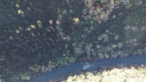 Terreno vinícola junto ao rio Tâmega