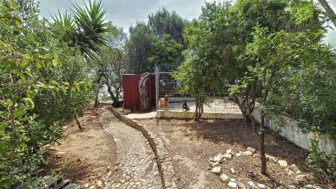 Moradia isolada T6 para venda em Cerro d'Águia, Albufeira