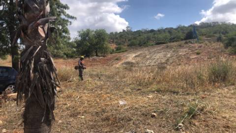 Lotes aprovados e executados para construção de prédios com piscina comum para venda em Tunes, Silves