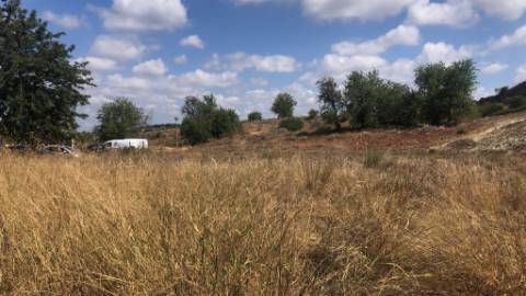 Lotes aprovados e executados para construção de prédios com piscina comum para venda em Tunes, Silves