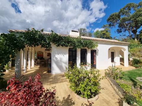Moradia térrea T3+1 com piscina, na Quinta da Balaia - Albufeira