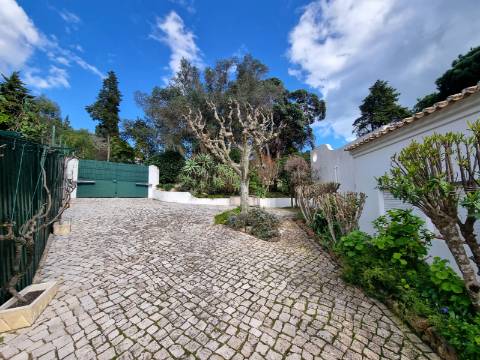 Moradia térrea T3+1 com piscina, na Quinta da Balaia - Albufeira