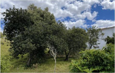 Terreno com PIP aprovado para venda em Paderne, Albufeira