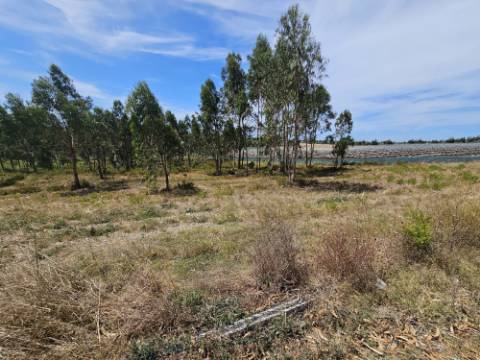 Moradia T2 , localizada em Ameal