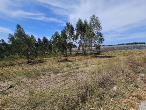 Moradia T2 , localizada em Ameal