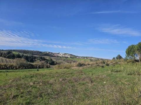 Terreno Urbano com 392m² zona Torres Vedras