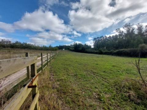 Moradia T4 +4, localizada Valado de Santa Quitéria