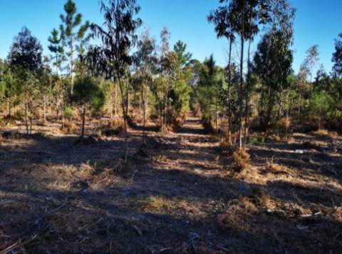 Terreno urbano para loteamento