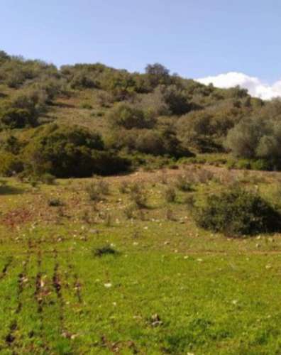 Terreno urbano para loteamento