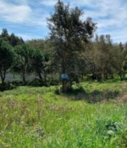 Terreno urbano para loteamento