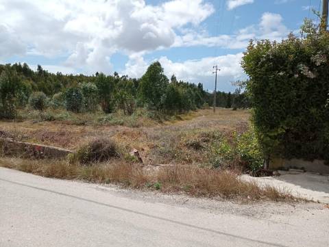 Terreno para Condomínio Privado em Torres Vedras