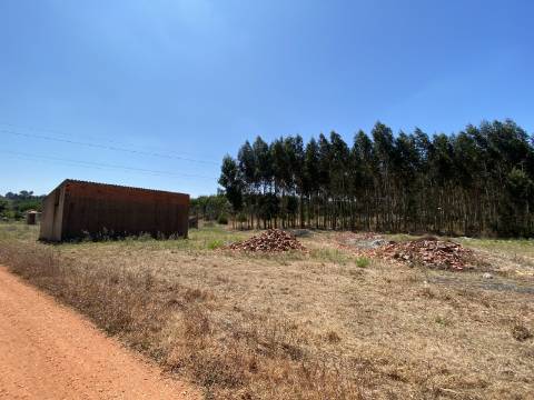 Terreno de 17.800 m2 com Moradia e Armazém