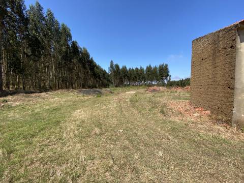 Terreno de 17.800 m2 com Moradia e Armazém