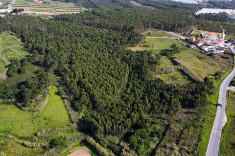 Terreno com viabilidade de desenvolvimento turístico