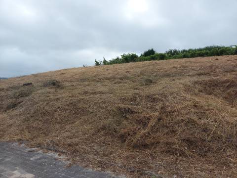 Terreno em A Dos Cunhados