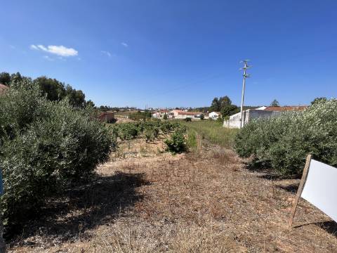 Terreno Urbano com armazém