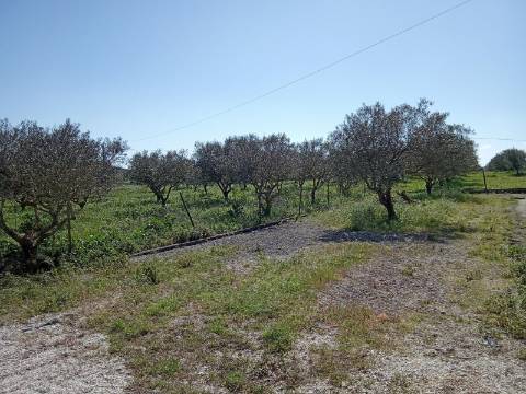 Terreno para construção, junto do Cadaval