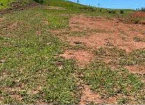 Terreno para construção, junto do Cadaval