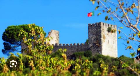 Ruina-T2-Aldeia-D-Além-Alcanede