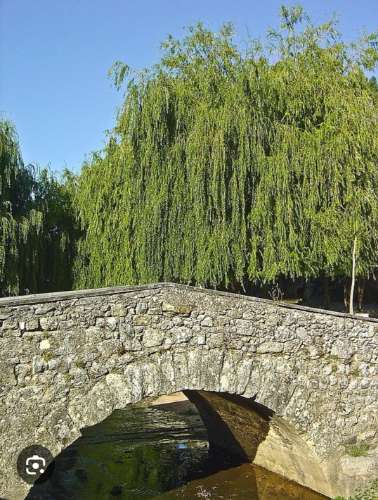 Ruina-T2-Aldeia-D-Além-Alcanede