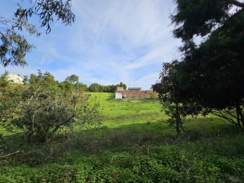 Terreno de 12.105 m2 com moradia Torres Vedras