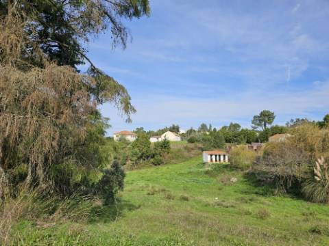 Terreno de 12.105 m2 com moradia Torres Vedras