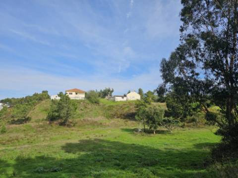 Terreno de 12.105 m2 com moradia Torres Vedras