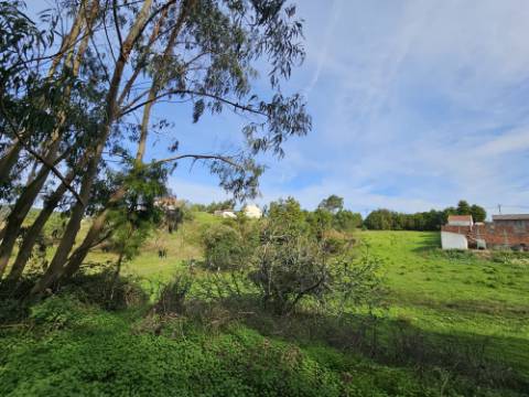 Terreno de 12.105 m2 com moradia Torres Vedras