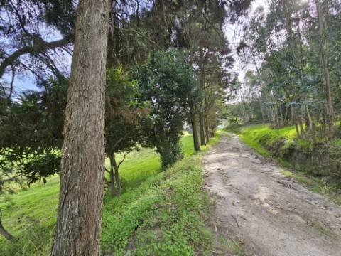 Terreno de 12.105 m2 com moradia Torres Vedras