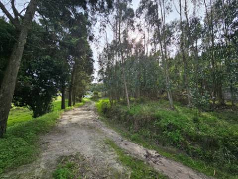 Terreno de 12.105 m2 com moradia Torres Vedras