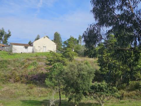 Terreno de 12.105 m2 com moradia Torres Vedras