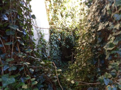 Casa Térrea para Restauro