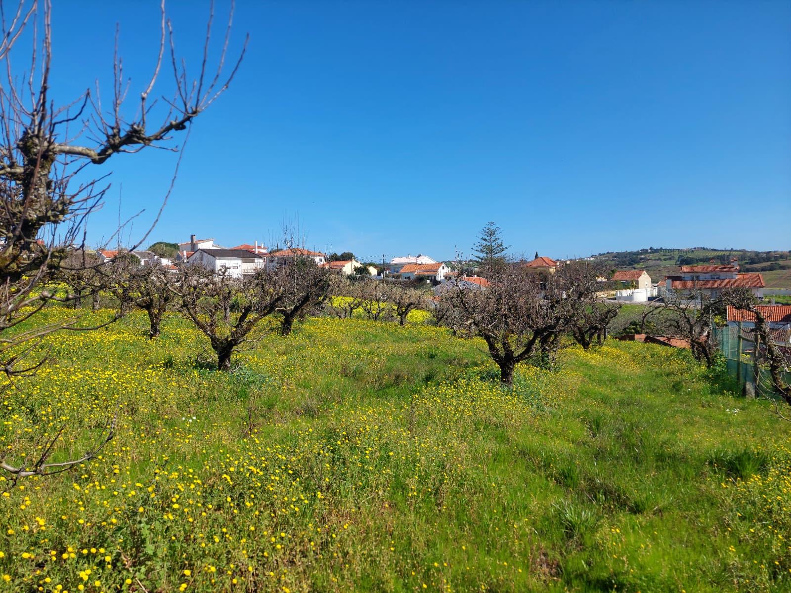 Terreno Rustico Urbanizável