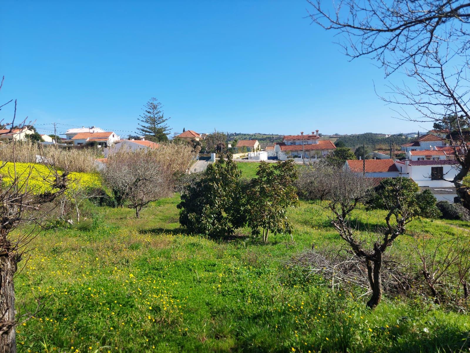 Terreno Rustico Urbanizável